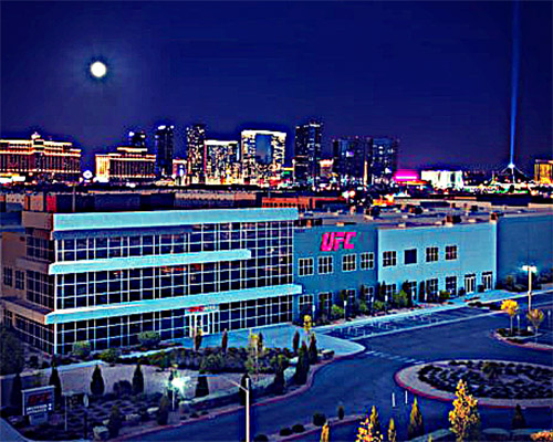 Image of UFC Apex